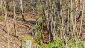 Wiosenny spacer po Mamerkach, marzec 2023 r. - zdjęcie 35