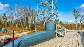 Wiosenny spacer po Mamerkach, marzec 2023 r. - zdjęcie 27