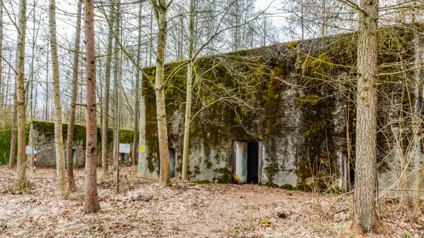 Wiosenny spacer po Mamerkach, marzec 2023 r. - zdjęcie 7