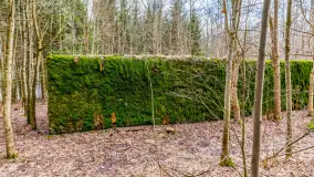 Wiosenny spacer po Mamerkach, marzec 2023 r. - zdjęcie 18