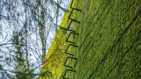 Wiosenny spacer po Mamerkach, marzec 2023 r. - zdjęcie 13