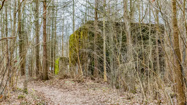 Wiosenny spacer po Mamerkach, marzec 2023 r. - zdjęcie 10