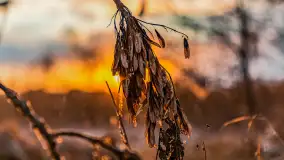 Zachód słońca nad jeziorem Martiany, marzec 2023 r. - zdjęcie 4