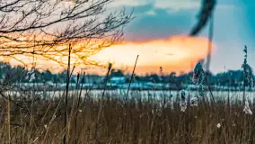 Zachód słońca nad jeziorem Martiany, marzec 2023 r. - zdjęcie 15