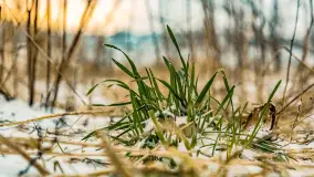 Zachód słońca nad jeziorem Martiany, marzec 2023 r. - zdjęcie 9