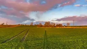 Zachód słońca nad rzeką Guber, kwiecień 2023 r. - zdjęcie 13