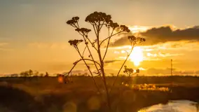 Zachód słońca nad rzeką Guber, kwiecień 2023 r. - zdjęcie 49