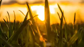 Zachód słońca nad rzeką Guber, kwiecień 2023 r. - zdjęcie 34