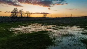 Zachód słońca nad rzeką Guber, kwiecień 2023 r. - zdjęcie 63