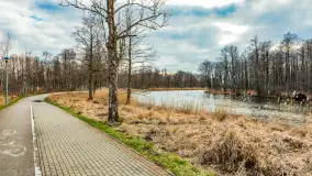 Węgorapa i kanał Węgorzewski pod koniec marca 2023 r. - zdjęcie 25