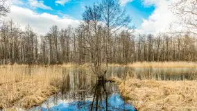 Węgorapa i kanał Węgorzewski pod koniec marca 2023 r. - zdjęcie 16