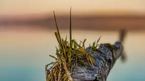 Wschód słońca nad jeziorem Dejguny, kwiecień 2023 r. - zdjęcie 32