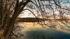 Wschód słońca nad jeziorem Dejguny, kwiecień 2023 r. - zdjęcie 4