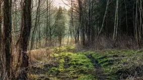 Wschód słońca nad jeziorem Dejguny, kwiecień 2023 r. - zdjęcie 22