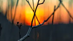 Zachód słońca nad jeziorem Dejguny, Lisi Ogon, kwiecień 2023 r. - zdjęcie 27