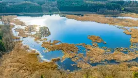 Wiosna i rozlewiska przy jeziorze Siercze niedaleko Gierłoży - zdjęcie 17