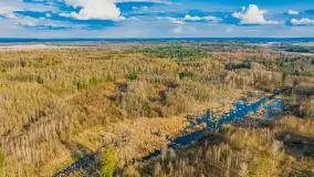 Wiosna i rozlewiska przy jeziorze Siercze niedaleko Gierłoży - zdjęcie 25