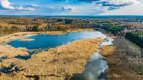 Wiosna i rozlewiska przy jeziorze Siercze niedaleko Gierłoży - zdjęcie 27