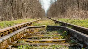 Kanał Mazurski, wiele ukrytych perełek - zdjęcie 34