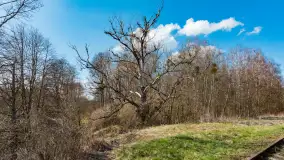 Kanał Mazurski, wiele ukrytych perełek - zdjęcie 45