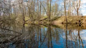 Kanał Mazurski, wiele ukrytych perełek - zdjęcie 58