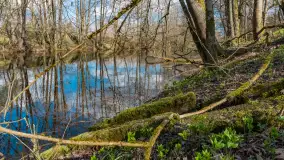 Kanał Mazurski, wiele ukrytych perełek - zdjęcie 51