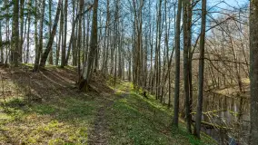 Kanał Mazurski, wiele ukrytych perełek - zdjęcie 78