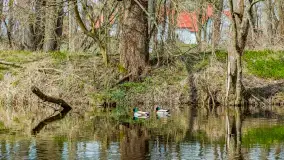 Wiosna już jest, taka prawdziwa, zielona i ciepła - zdjęcie 30
