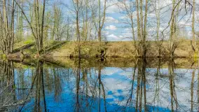 Wiosna już jest, taka prawdziwa, zielona i ciepła - zdjęcie 6