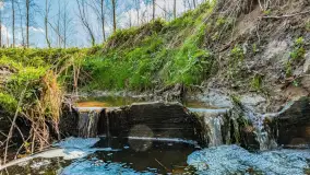 Wiosna już jest, taka prawdziwa, zielona i ciepła - zdjęcie 12