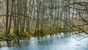 Wiosna już jest, taka prawdziwa, zielona i ciepła - zdjęcie 33