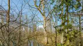 Wiosna już jest, taka prawdziwa, zielona i ciepła - zdjęcie 50