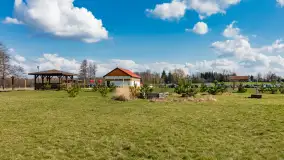 Plaża i ścieżka edukacyjna w Czernikach, jezioro Mój - zdjęcie 28