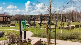 Plaża i ścieżka edukacyjna w Czernikach, jezioro Mój - zdjęcie 26