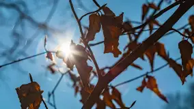 Foto spacer po lesie miejskim w Giżycku, kwiecień 2023 r. - zdjęcie 18