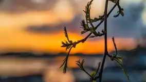 Zachód słońca w Mikołajkach, czuć sezon 2023 - zdjęcie 29