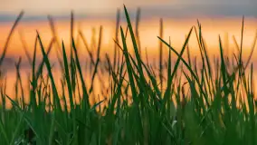 Zachód słońca nad jeziorem Dejgunek, kwiecień 2023 r.  - zdjęcie 33