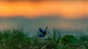 Zachód słońca nad jeziorem Dejgunek, kwiecień 2023 r.  - zdjęcie 36