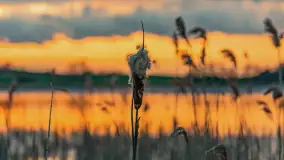 Zachód słońca nad jeziorem Dejgunek, kwiecień 2023 r.  - zdjęcie 20