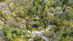 Przy Wilczym Szańcu posadzono 5000 dębów - zdjęcie 71