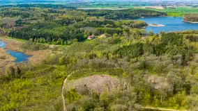 Przy Wilczym Szańcu posadzono 5000 dębów - zdjęcie 39