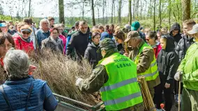 Przy Wilczym Szańcu posadzono 5000 dębów - zdjęcie 1