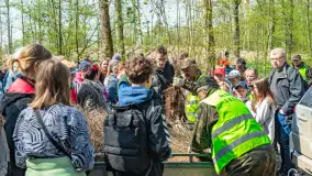 Przy Wilczym Szańcu posadzono 5000 dębów - zdjęcie 6