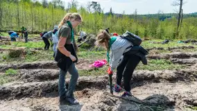 Przy Wilczym Szańcu posadzono 5000 dębów - zdjęcie 23