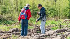 Przy Wilczym Szańcu posadzono 5000 dębów - zdjęcie 12