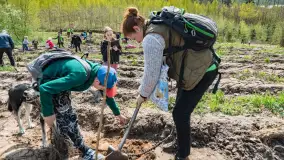 Przy Wilczym Szańcu posadzono 5000 dębów - zdjęcie 65