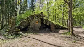 Majowy spacer po Wilczym Szańcu w Gierłoży - zdjęcie 10