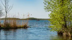 Port Kal Rybaczówka na jeziorem Mamry, maj 2023 r. - zdjęcie 6