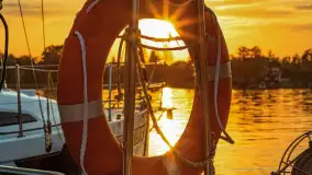 Zachód Słońca w Tle Dla Mew, jezioro Boczne, maj 2023 r. - zdjęcie 11