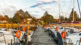 Zachód Słońca w Tle Dla Mew, jezioro Boczne, maj 2023 r. - zdjęcie 18